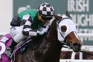 Faaltless Wins Second Garden City Trophy. Photo: Singapore Turf Club